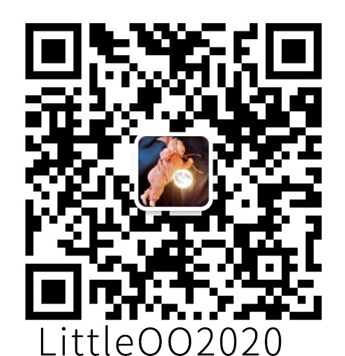 QIAQIA 摄影微信二维码,微信号 LittleQQ2020